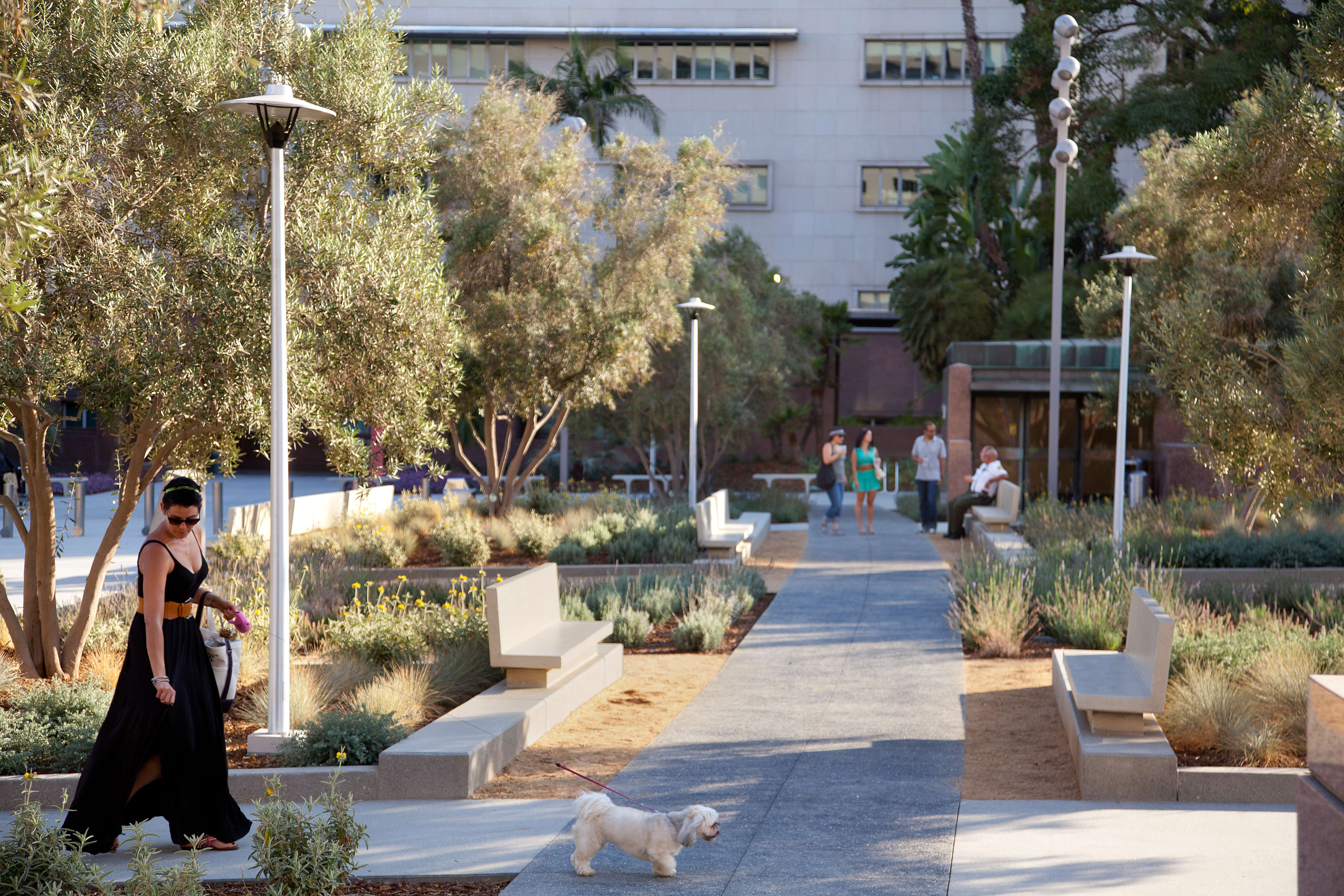 Woman Walking her Doc in a Courtyard DTLA