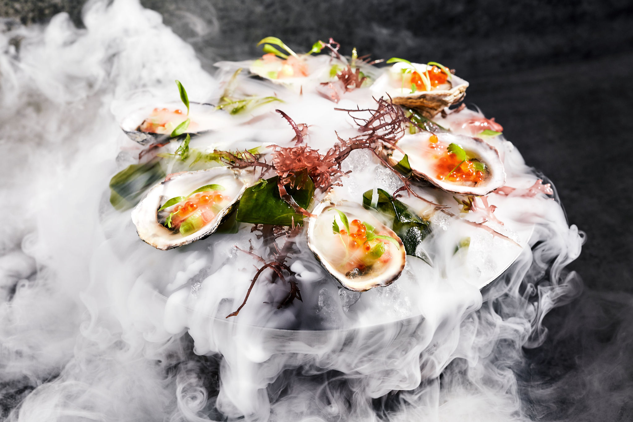 Agua Viva oysters